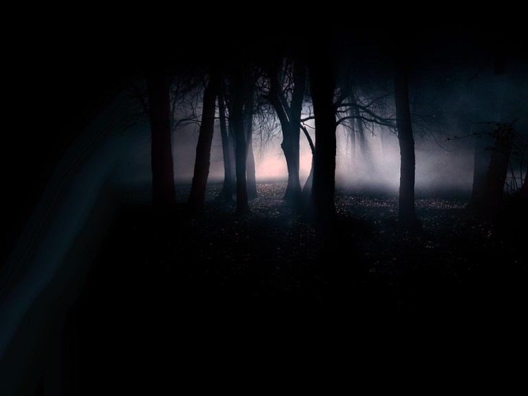 zifiri_karanlik_gece_orman.jpg