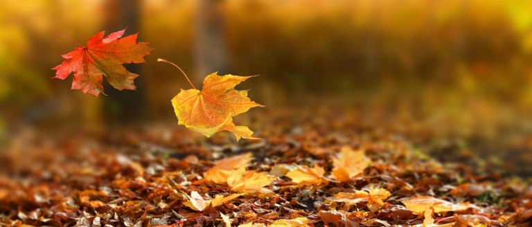 shutterstock_475746394_result-1