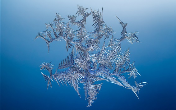 Snowflake-ice-blue-background_m